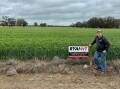 Paul Ryan by a big wheat crop sown in Beulah, Victoria. This crop was sown with a RYAN NT retrofit Smale Bar.